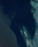 2011Columbianas-0368.jpg