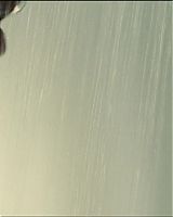 2011Columbianas-0385.jpg